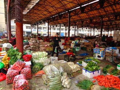 倒春寒再臨風(fēng)險與果農(nóng)科學(xué)防凍指南