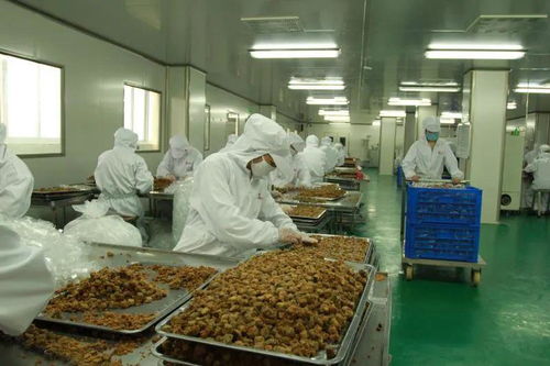 太和農(nóng)產(chǎn)品加工產(chǎn)業(yè)園入選省行動(dòng)計(jì)劃，聚焦食用農(nóng)產(chǎn)品初加工高質(zhì)量發(fā)展