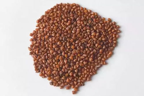 海外熱銷，泰州三農(nóng)產(chǎn)品基地榮膺省級(jí)示范，這些特產(chǎn)你嘗過(guò)嗎？