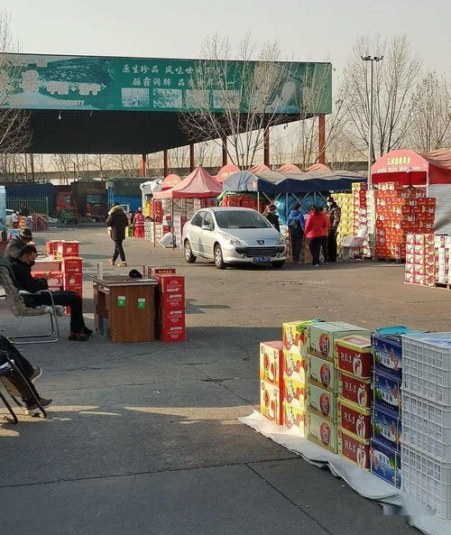 做水果生意，必須知道的5大水果一級批發(fā)市場與食用農(nóng)產(chǎn)品初加工要點(diǎn)